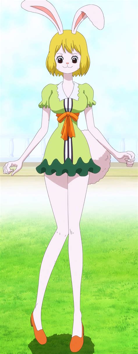 hentai one piece carrot|Character: carrot (popular) » nhentai